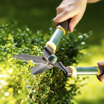 Groenbeheer